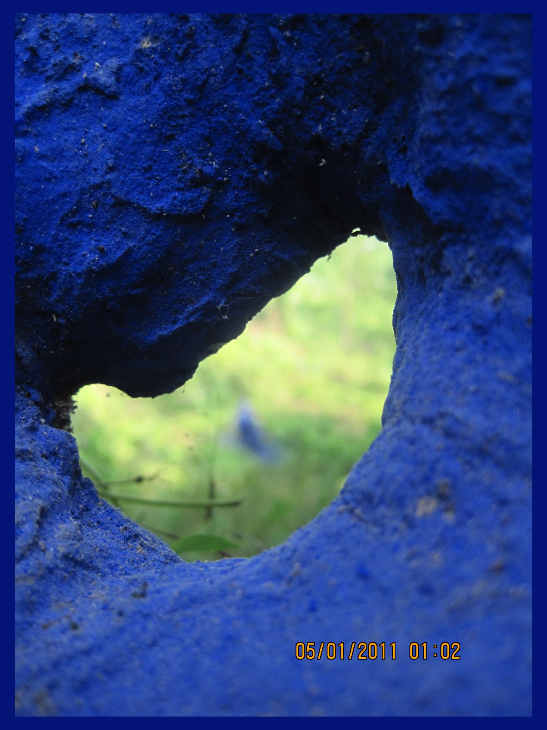 Spirit of the Forest – 2011