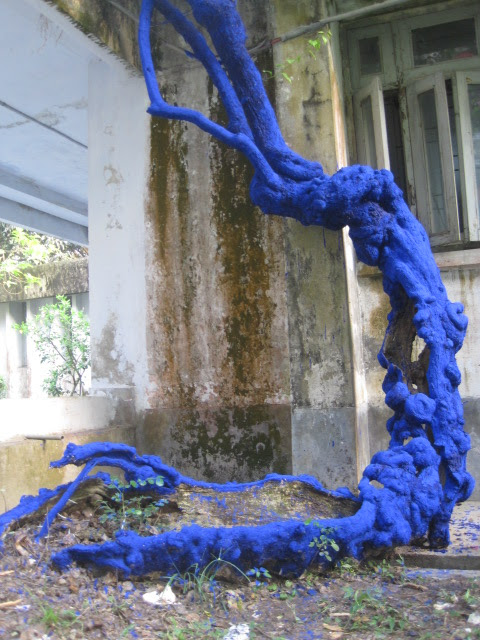 It’s the root which keep alive the soul – 1, 2011