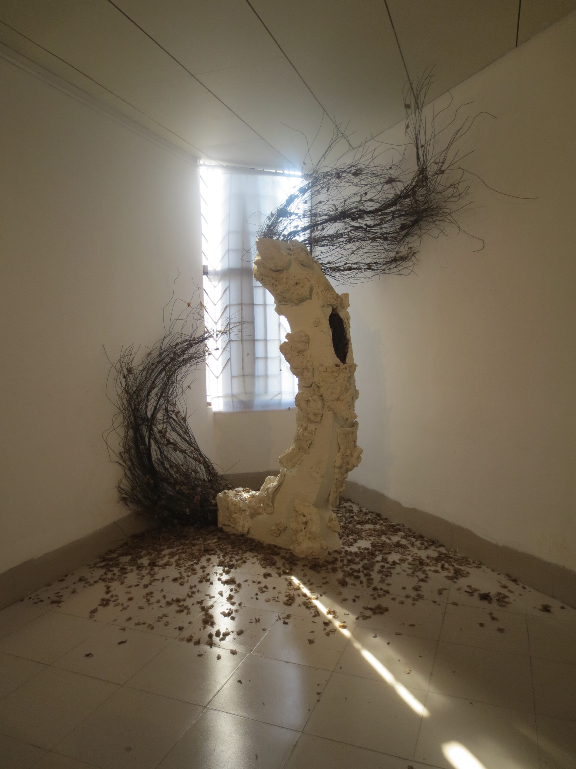 and the root has become, 2014