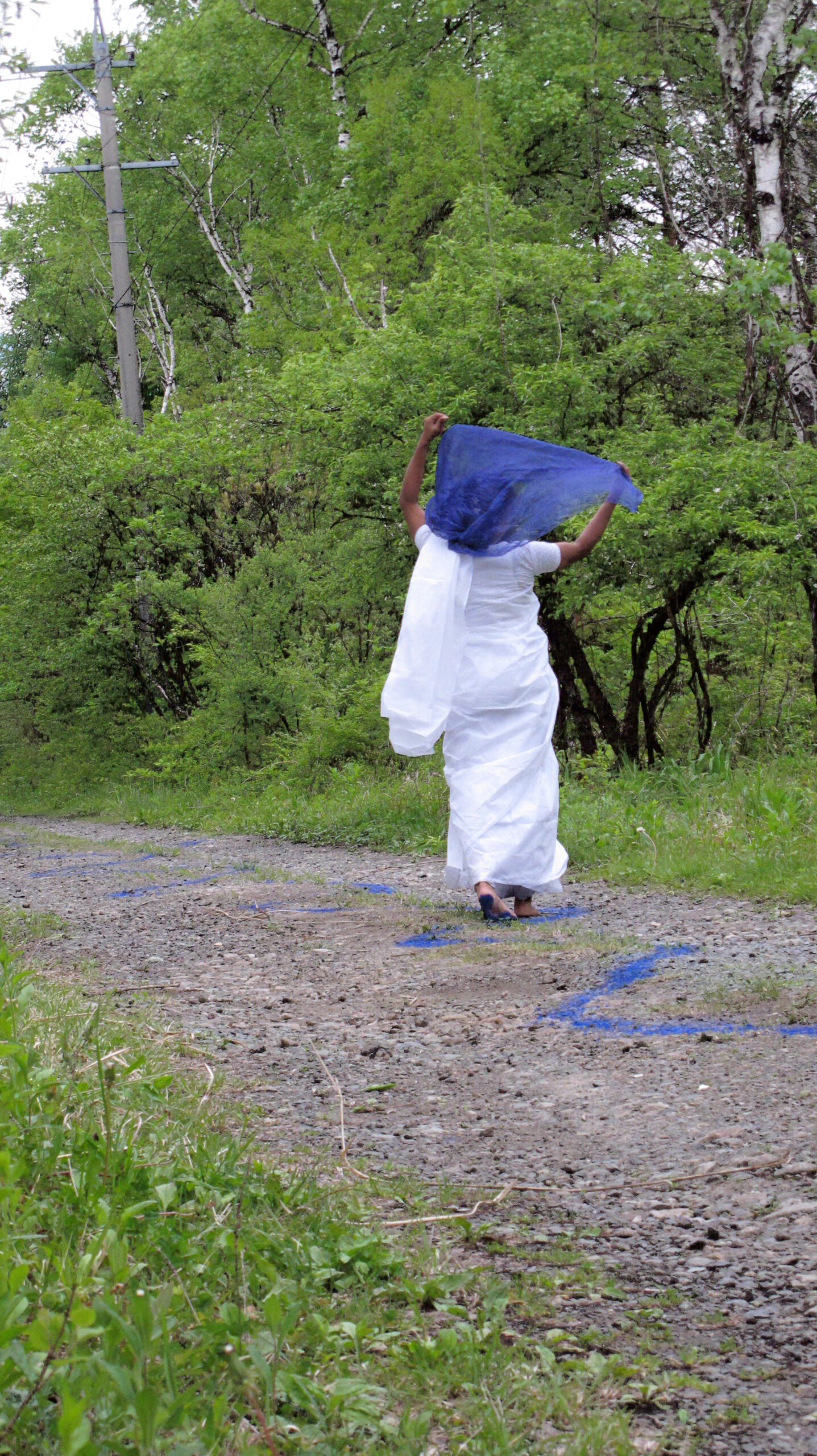 Blue-2,  2011