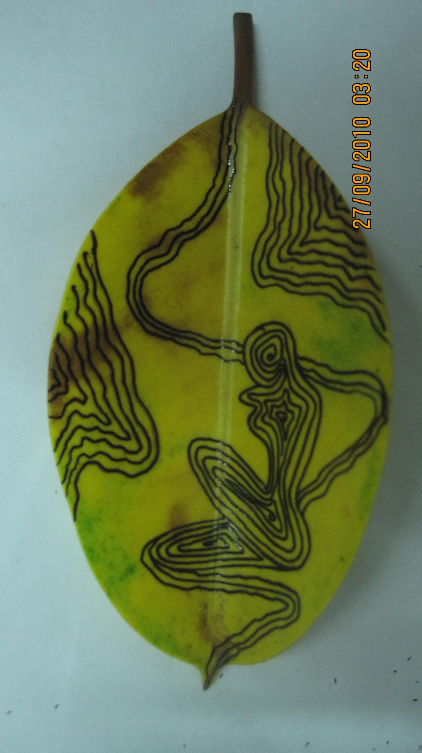Patar Kotha, Tale of the Leaf, 2010